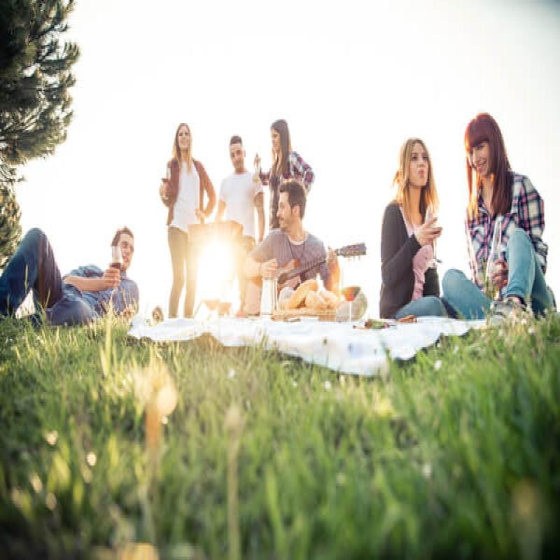 Summer Picnic